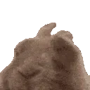 BunnyVibe
