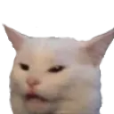 Cate cate Discord Emoji
