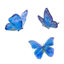 1_bluebutterflies Discord Emoji
