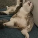 Zzzz