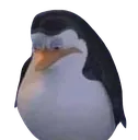 CaboSad