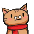 8116goodsirpopcat