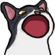 6744tuxedopopcat