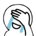 facepalmtears