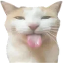 bleh