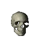 SkullSpin