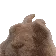 dancebunnyvibe dancebunnyvibe