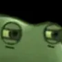froggosusbig froggosusbig