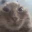 ZexOnWeirdSmile