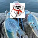bodasterEmoji