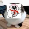 bodachubbycat