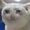 sadcat Discord Emoji