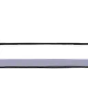 bongsees2