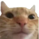 kindaweird kindaweird