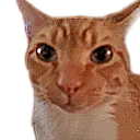 Heck