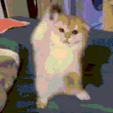 omgggggcute omgggggcute