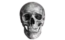 skulled