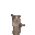 ppHyper
