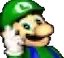 luigi luigi