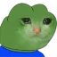 catpepe Discord Emoji