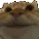 CatYes