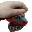 PetGix PetGix