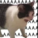AAAAAAAAAAAAAAAAAAA AAAAAAAAAAAAAAAAAAA