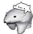 bongobear