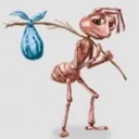 sadantbindle