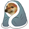 dogeblanked