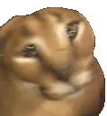 hecker_spin hecker_spin