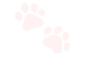 2929 Kittypaws Discord Emoji