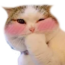 cat1 Discord Emoji