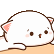 ln_catBored