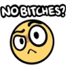VAGfTNoBitches Discord emoji