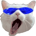 catchesting Discord Emoji