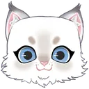 Apollo_fluffy_cat Apollo_fluffy_cat