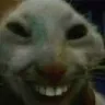 KEKW2 KEKW2