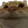 catYep