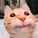 Cat Happy cat_happy Discord Emoji