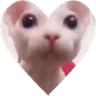 bingusheart