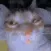 CE_its3am2 CE_its3am2