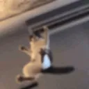 CE_CatKick