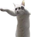 longcat_1