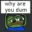 whyareyoudumfrog