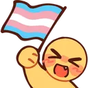 flag_trans flag_trans