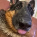 mlem