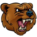 brown_bear