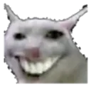 Wesh