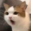 JenRage